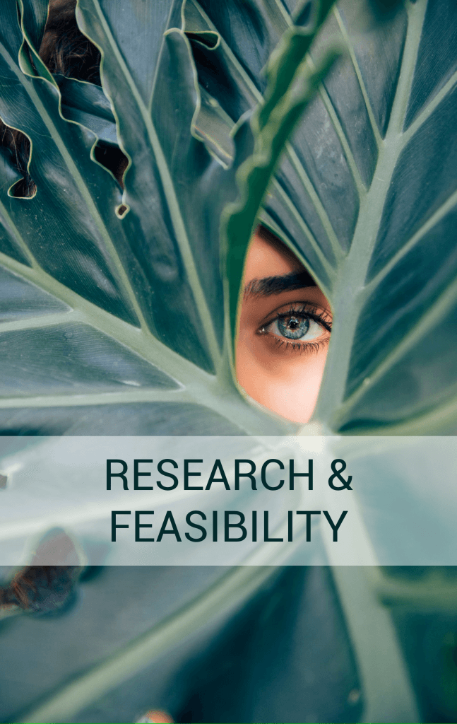 Services Research & Feasibility